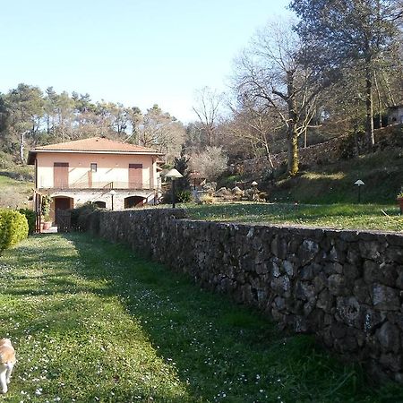 I Lecci Bed and Breakfast Lerici Eksteriør billede