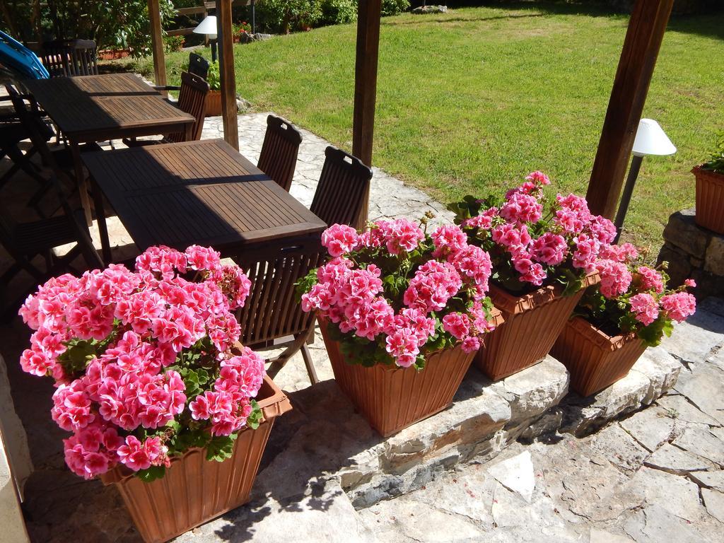 I Lecci Bed and Breakfast Lerici Eksteriør billede